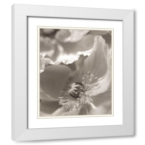 Florison - 7 White Modern Wood Framed Art Print with Double Matting by Blaustein, Alan