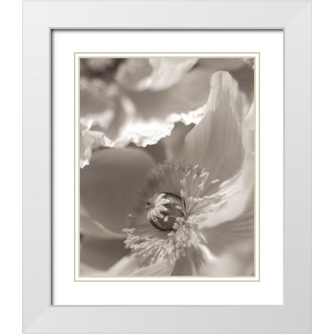 Florison - 7 White Modern Wood Framed Art Print with Double Matting by Blaustein, Alan