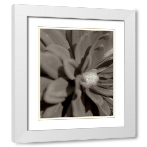 Florison - 6 White Modern Wood Framed Art Print with Double Matting by Blaustein, Alan