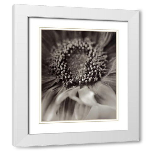 Florison - 2 White Modern Wood Framed Art Print with Double Matting by Blaustein, Alan