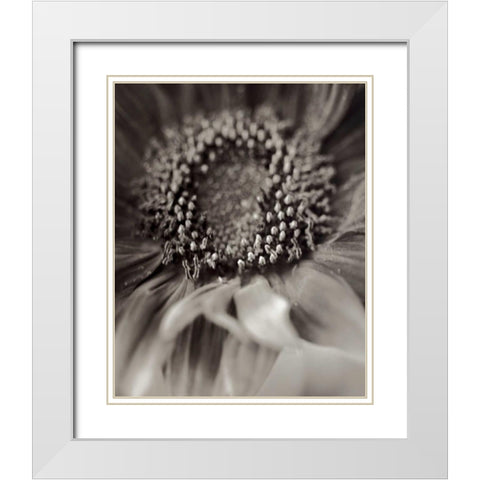 Florison - 2 White Modern Wood Framed Art Print with Double Matting by Blaustein, Alan