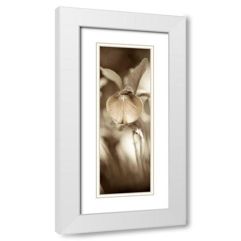 Florison - 73 White Modern Wood Framed Art Print with Double Matting by Blaustein, Alan