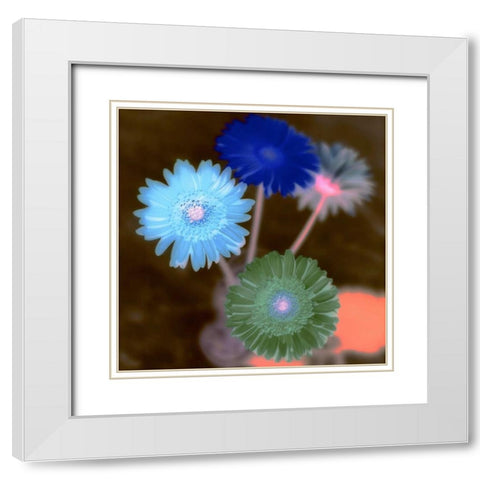 Floral Color - 4 White Modern Wood Framed Art Print with Double Matting by Blaustein, Alan