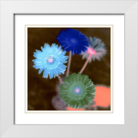 Floral Color - 4 White Modern Wood Framed Art Print with Double Matting by Blaustein, Alan