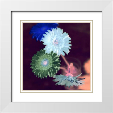 Floral Color - 5 White Modern Wood Framed Art Print with Double Matting by Blaustein, Alan