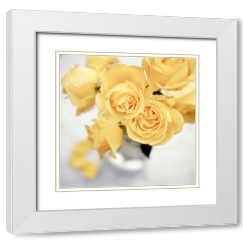 Floral Color - 21 White Modern Wood Framed Art Print with Double Matting by Blaustein, Alan