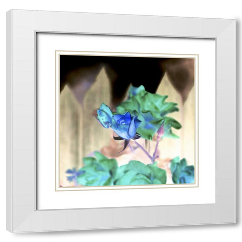 Floral Color - 7 White Modern Wood Framed Art Print with Double Matting by Blaustein, Alan
