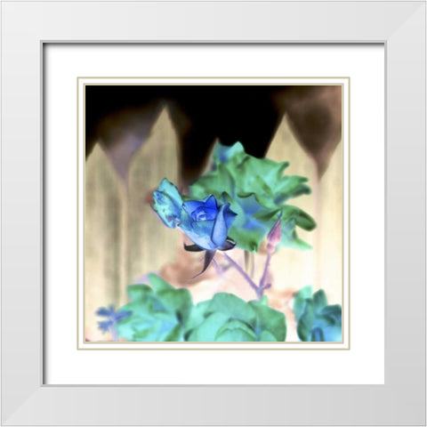 Floral Color - 7 White Modern Wood Framed Art Print with Double Matting by Blaustein, Alan