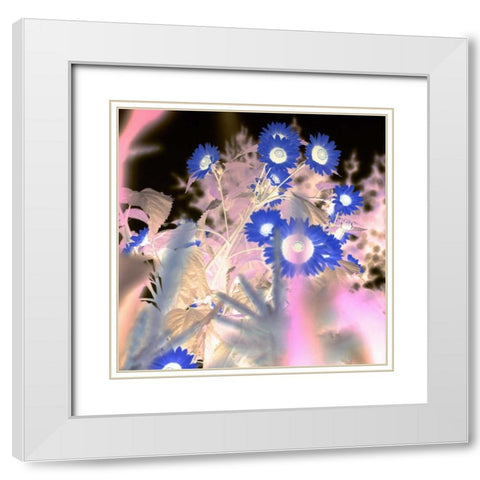 Floral Color - 8 White Modern Wood Framed Art Print with Double Matting by Blaustein, Alan
