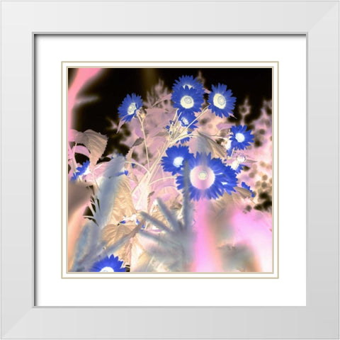 Floral Color - 8 White Modern Wood Framed Art Print with Double Matting by Blaustein, Alan