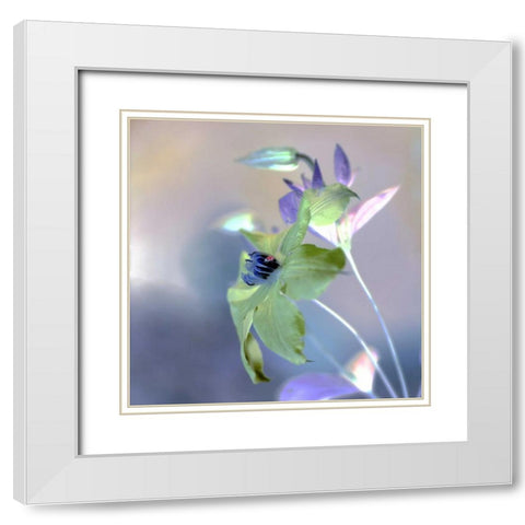 Floral Color - 9 White Modern Wood Framed Art Print with Double Matting by Blaustein, Alan