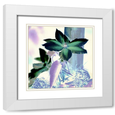 Floral Color - 10 White Modern Wood Framed Art Print with Double Matting by Blaustein, Alan