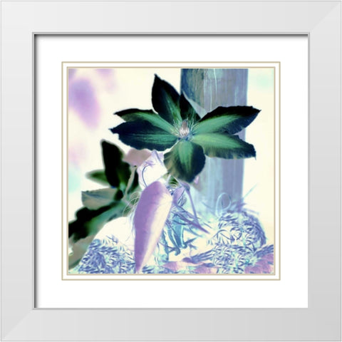Floral Color - 10 White Modern Wood Framed Art Print with Double Matting by Blaustein, Alan