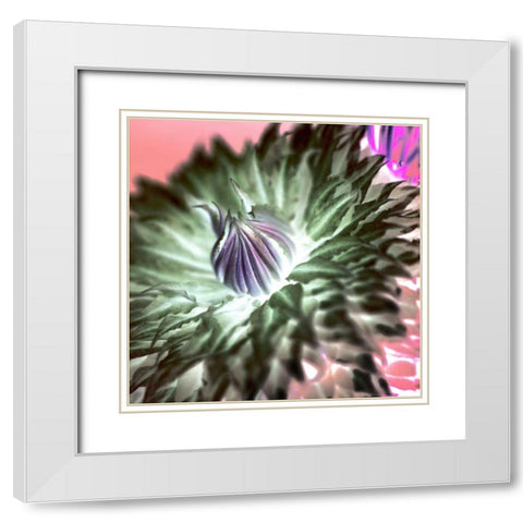 Floral Color - 11 White Modern Wood Framed Art Print with Double Matting by Blaustein, Alan