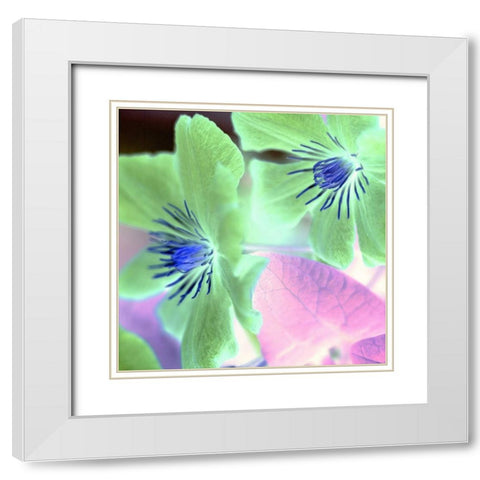 Floral Color - 13 White Modern Wood Framed Art Print with Double Matting by Blaustein, Alan