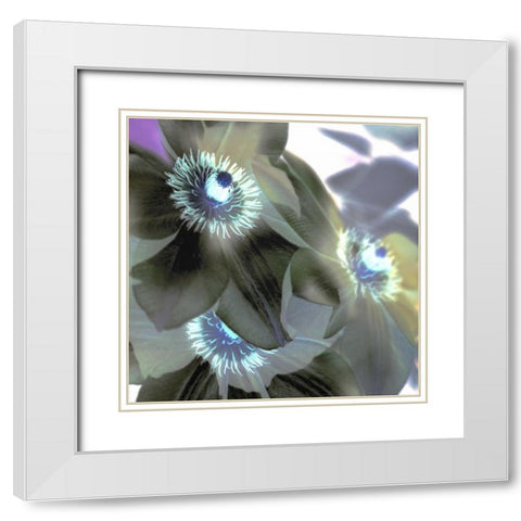 Floral Color - 14 White Modern Wood Framed Art Print with Double Matting by Blaustein, Alan