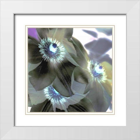 Floral Color - 14 White Modern Wood Framed Art Print with Double Matting by Blaustein, Alan