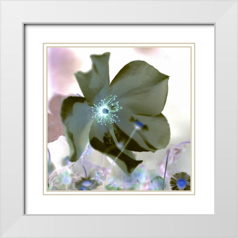 Floral Color - 16 White Modern Wood Framed Art Print with Double Matting by Blaustein, Alan