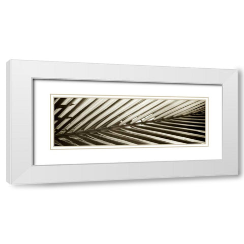 Florison - 100 White Modern Wood Framed Art Print with Double Matting by Blaustein, Alan