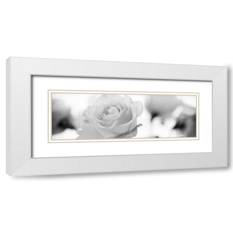 Florison - 102 White Modern Wood Framed Art Print with Double Matting by Blaustein, Alan