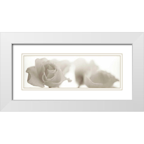 Florison - 103 White Modern Wood Framed Art Print with Double Matting by Blaustein, Alan