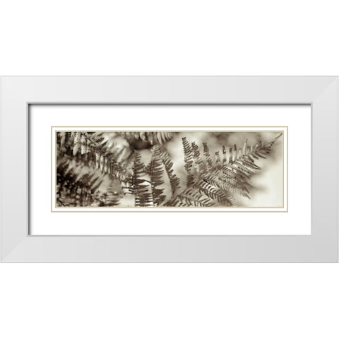 Florison - 101 White Modern Wood Framed Art Print with Double Matting by Blaustein, Alan