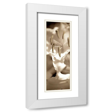 Florison - 75 White Modern Wood Framed Art Print with Double Matting by Blaustein, Alan
