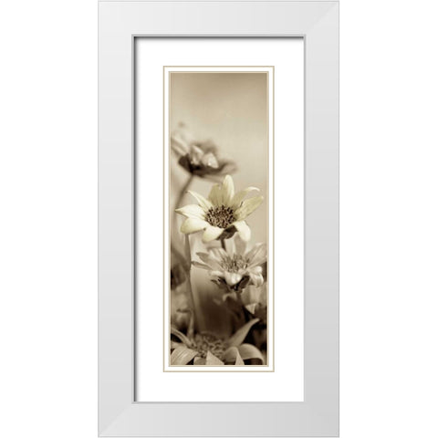 Florison - 79 White Modern Wood Framed Art Print with Double Matting by Blaustein, Alan
