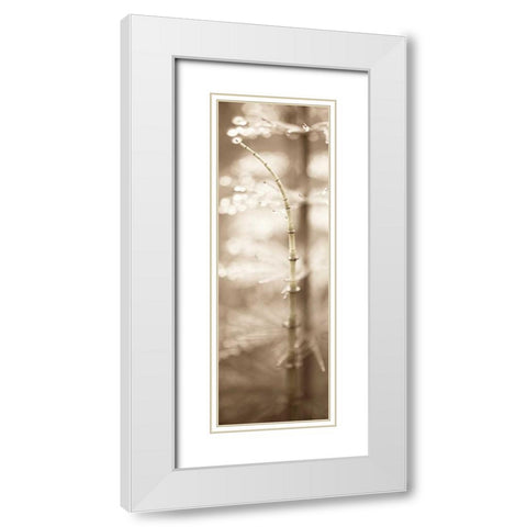Florison - 94 White Modern Wood Framed Art Print with Double Matting by Blaustein, Alan