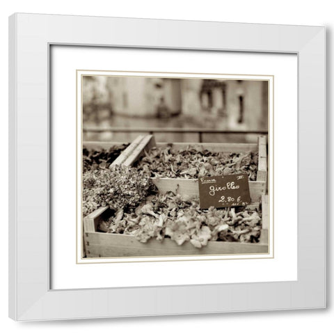 Marketplace - 37 White Modern Wood Framed Art Print with Double Matting by Blaustein, Alan