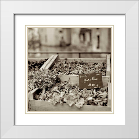 Marketplace - 37 White Modern Wood Framed Art Print with Double Matting by Blaustein, Alan