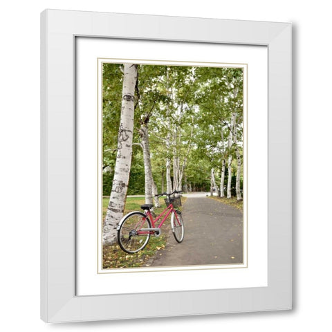 Japan Bicycle - 20 White Modern Wood Framed Art Print with Double Matting by Blaustein, Alan
