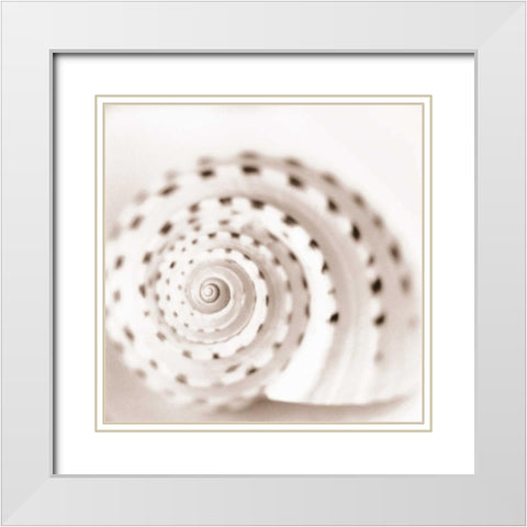 Atlantis 1 White Modern Wood Framed Art Print with Double Matting by Blaustein, Alan