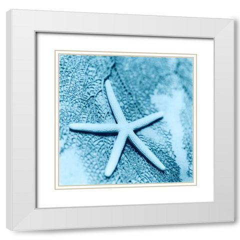 Nautica No2 White Modern Wood Framed Art Print with Double Matting by Blaustein, Alan