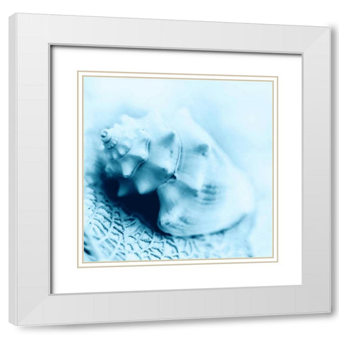 Nautica No4 White Modern Wood Framed Art Print with Double Matting by Blaustein, Alan