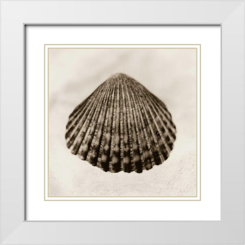 La Playa No1 White Modern Wood Framed Art Print with Double Matting by Blaustein, Alan