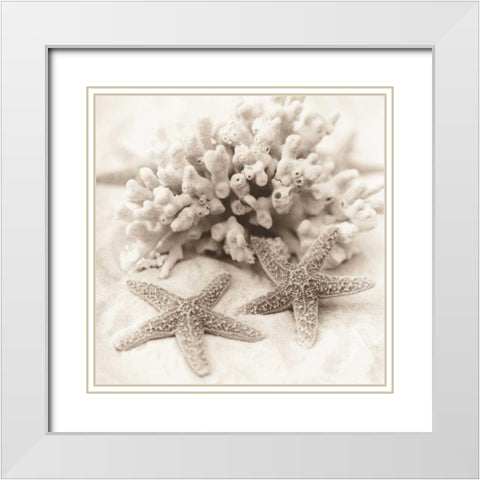 La Mer 1 White Modern Wood Framed Art Print with Double Matting by Blaustein, Alan