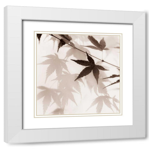 Japanese Maple Leaves No. 2 White Modern Wood Framed Art Print with Double Matting by Blaustein, Alan