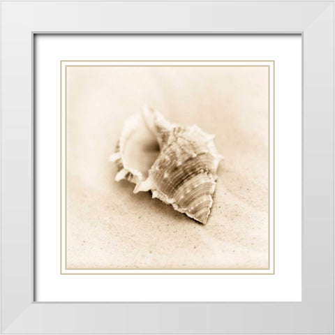 Il Oceano No. 3 White Modern Wood Framed Art Print with Double Matting by Blaustein, Alan