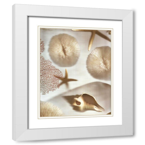 Nautical Illuminations No.1 White Modern Wood Framed Art Print with Double Matting by Blaustein, Alan