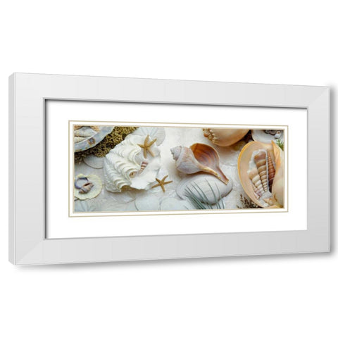 Island Tide Pool No. 3 White Modern Wood Framed Art Print with Double Matting by Blaustein, Alan