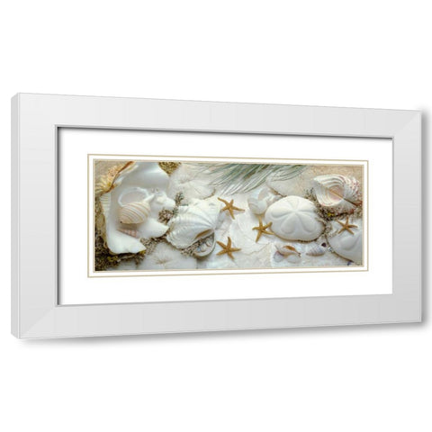 Island Tide Pool No. 5 White Modern Wood Framed Art Print with Double Matting by Blaustein, Alan