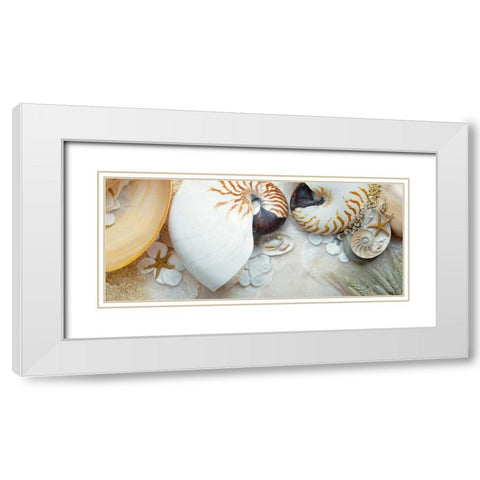 Island Tide Pool No. 8 White Modern Wood Framed Art Print with Double Matting by Blaustein, Alan