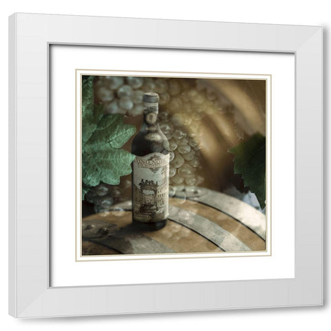 Montepulciano Vineyard #2 White Modern Wood Framed Art Print with Double Matting by Blaustein, Alan