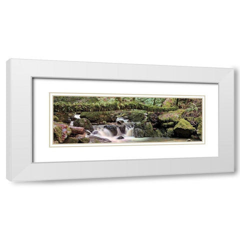Canyon Falls No. 11 White Modern Wood Framed Art Print with Double Matting by Blaustein, Alan