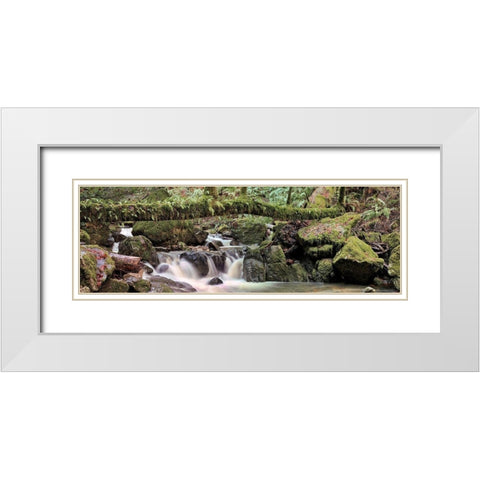 Canyon Falls No. 11 White Modern Wood Framed Art Print with Double Matting by Blaustein, Alan