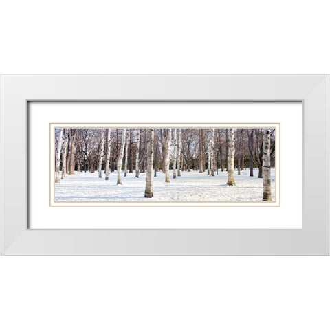 Hokkaido 4 White Modern Wood Framed Art Print with Double Matting by Blaustein, Alan