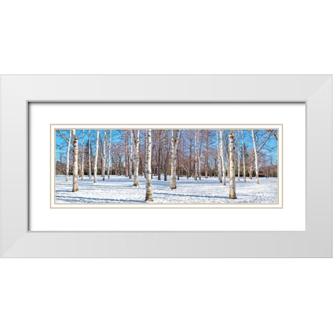 Hokkaido 1 White Modern Wood Framed Art Print with Double Matting by Blaustein, Alan