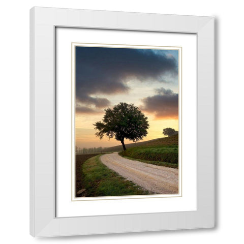 Tuscan Farm Road Sunrise #2 White Modern Wood Framed Art Print with Double Matting by Blaustein, Alan