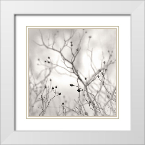 Winter Berries White Modern Wood Framed Art Print with Double Matting by Bell, Nicholas